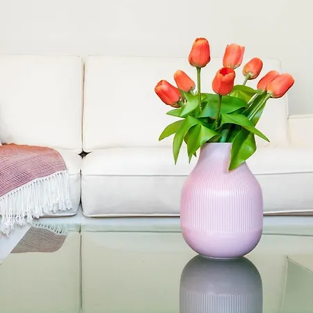 Stylish Joivy Flat With Garden Daire